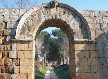 Outdoor stone archway leading down a path lined with trees.